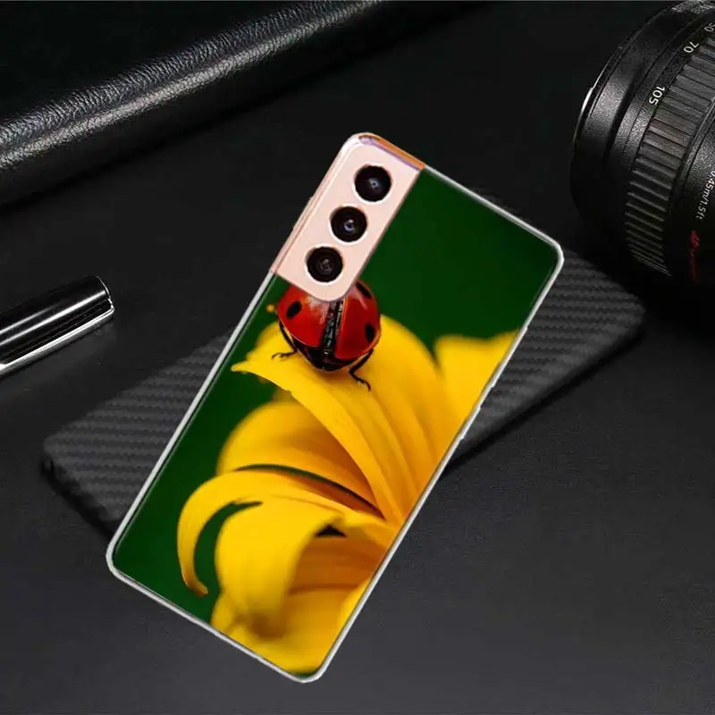 Insect Seven-star ladybug Painted Colourful Phone Case For Samsung A15 A25 A35 A55 A05S A03 A03S A04 A04S A13 A14 A23 A24 A33