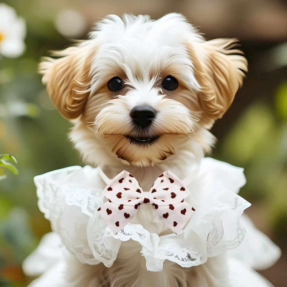 Thumbnail 2 - #39 Latest Puppy Bandanas Offers