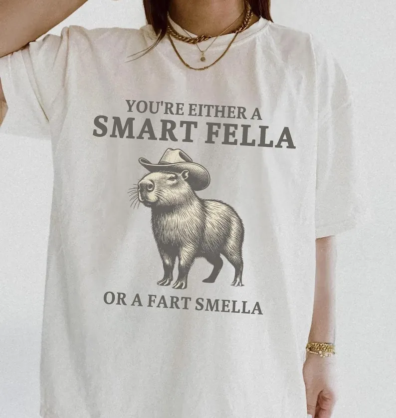 You're Either A Smart Fella or Fart Smella, Smart Fella, Fart Smella, Funny Vintage T-shirt, Vintage Distressed Shirt