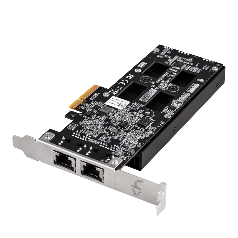 La scheda di rete di archiviazione XikeStor contiene due slot M.2 Nvme e due porte RJ45 10G