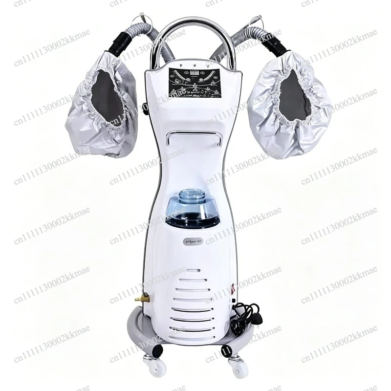multi-functional active oxygen biochemical instrument hair care ozone micro spray machine heating steam care oil baking machine