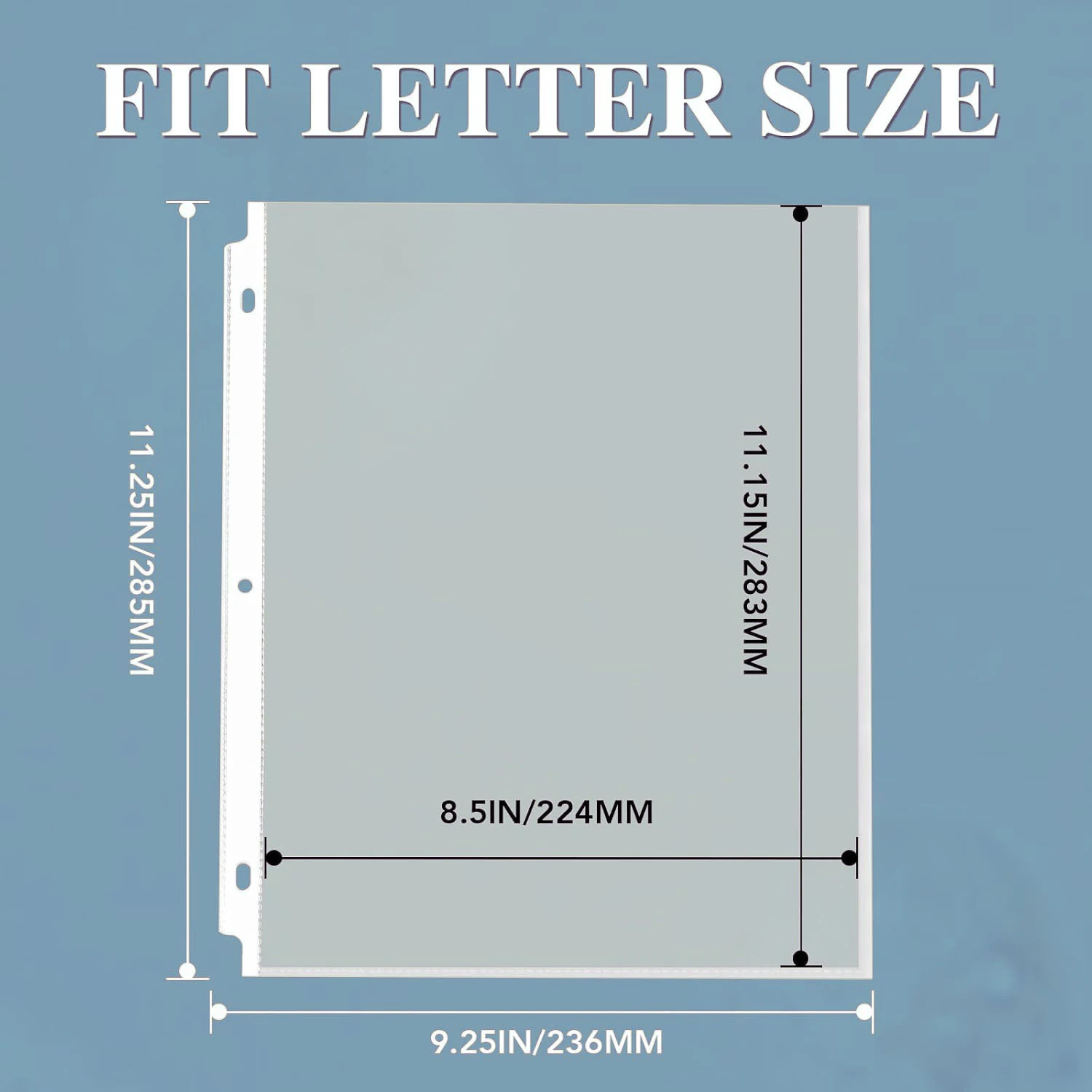 50Sheet Protectors, 8.5x11 Inch Page Protectors for 3 Ring Binder, Standard Weight, Non-Glare Protector, Letter Size