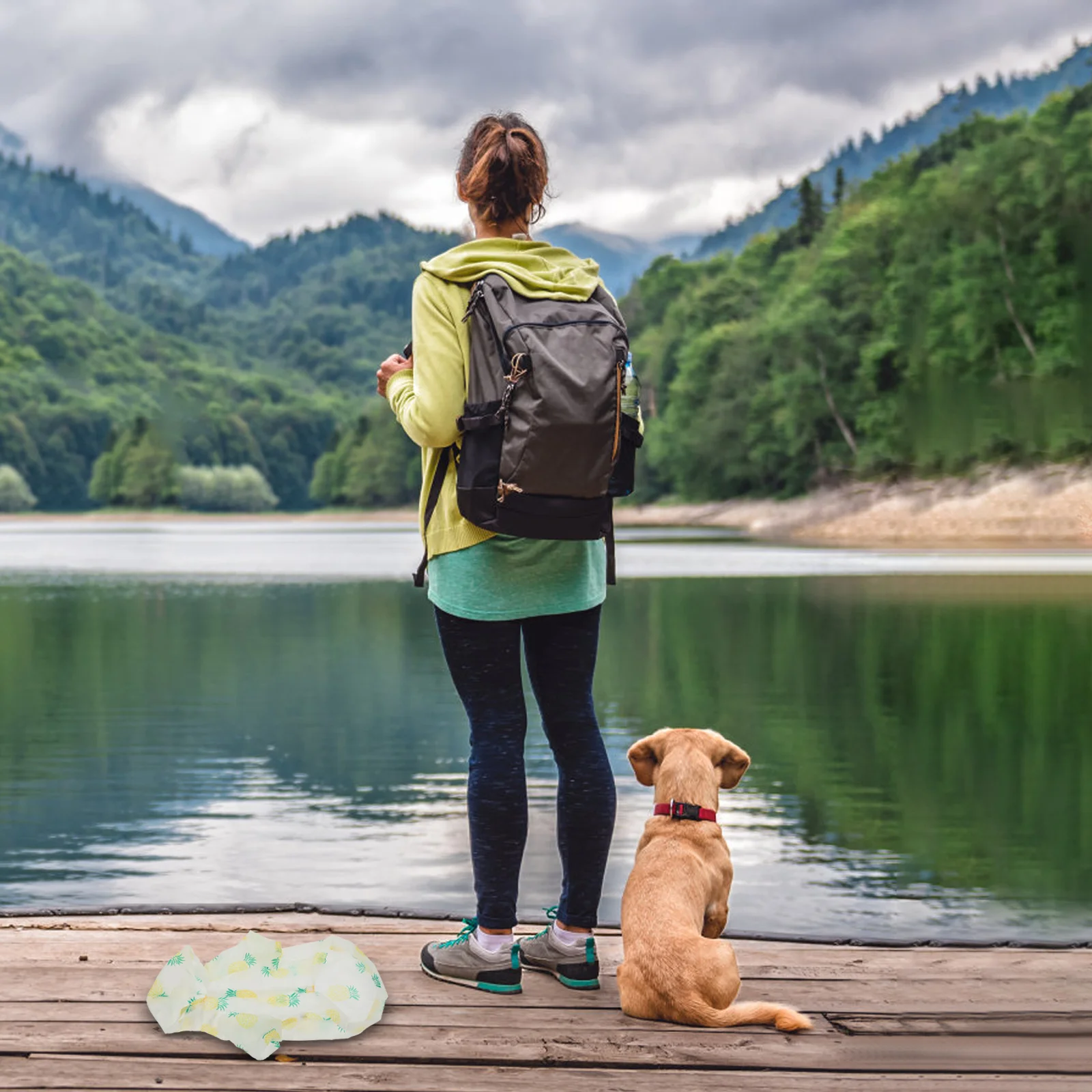 

Pet Sun Protection Clothing Summer Dog Hoodie XL Size Breathable Comfortable Easy Wear Take Off Suitable Dogs Cats Small Pets