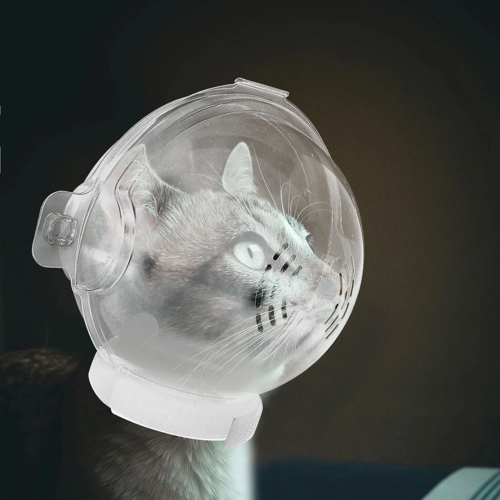 

Anti Biting Breathable Protective Hood for Post Surgery Recovery Healing Kitten Hood