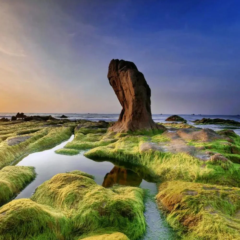 

Без чипа T902 T944 T945 T946 T948 T949 T950 IP01A IP01B сменный картридж для Epson WF-C5290 C5790 C5210 C5710 C5290 S884 M884