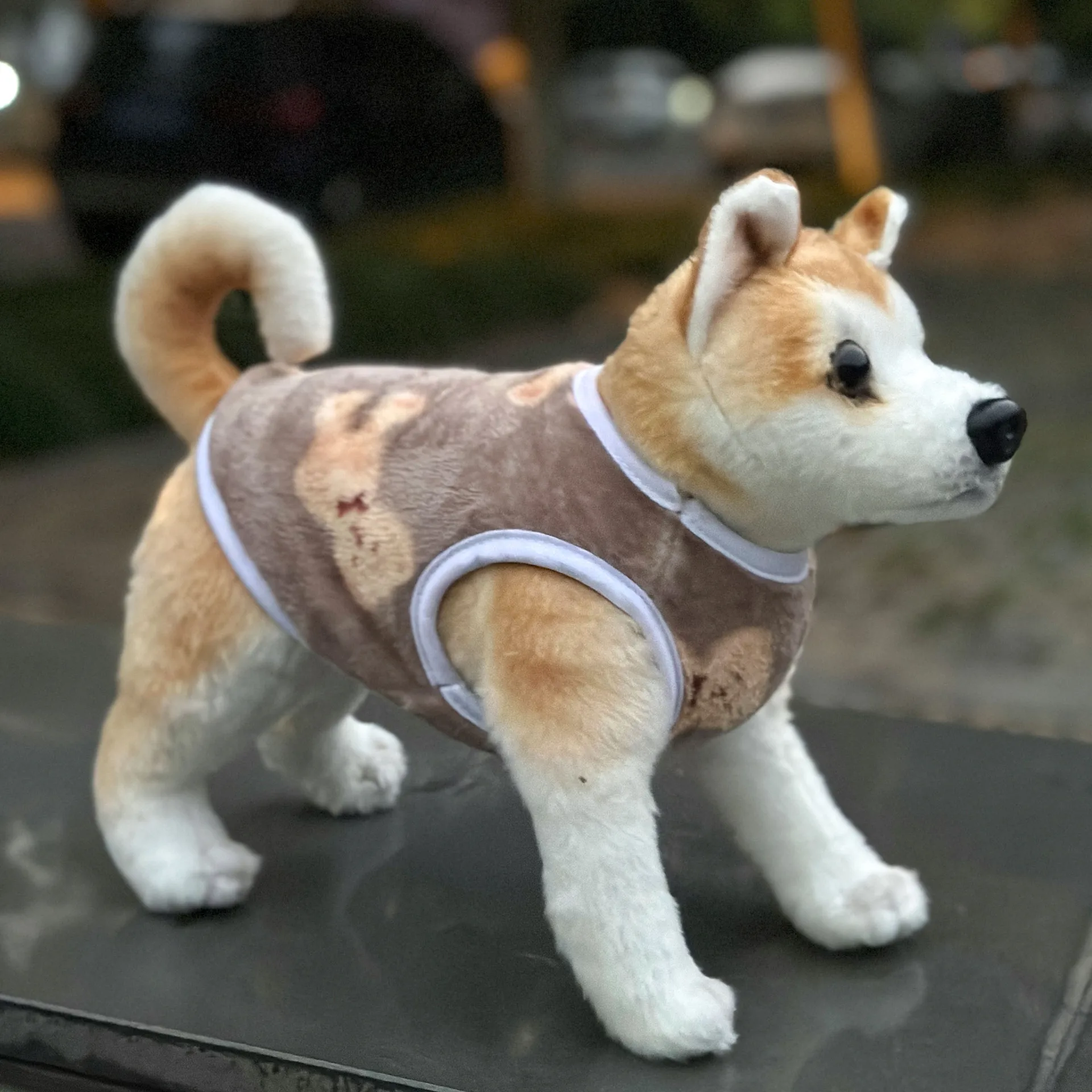 Pet Clothing Cute Teddy Bear Hoodie Autumn and Winter Four Legged Clothes Dog Clothing Cat Clothing Flannel Base Sweater