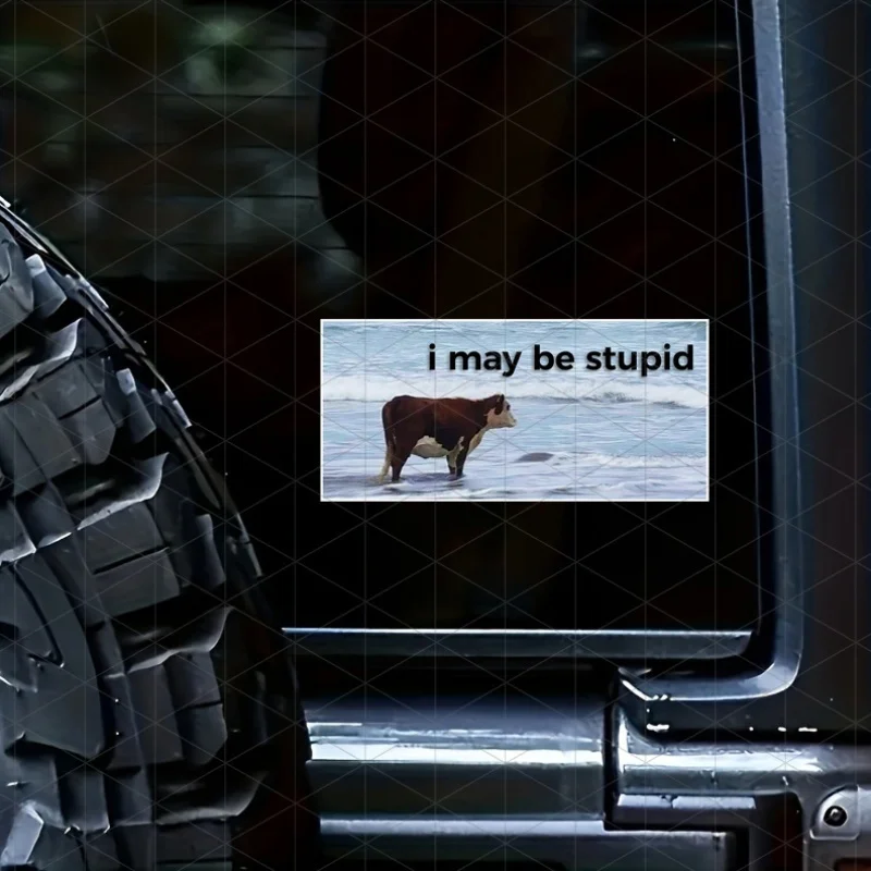 ملصقات سيارات روح الدعابة "يمكن أن أكون غبيًا" ذات طابع البنزين - ملصقات باب روح الدعابة للسيارات والشاحنات والشاحنات والشاحنات #1