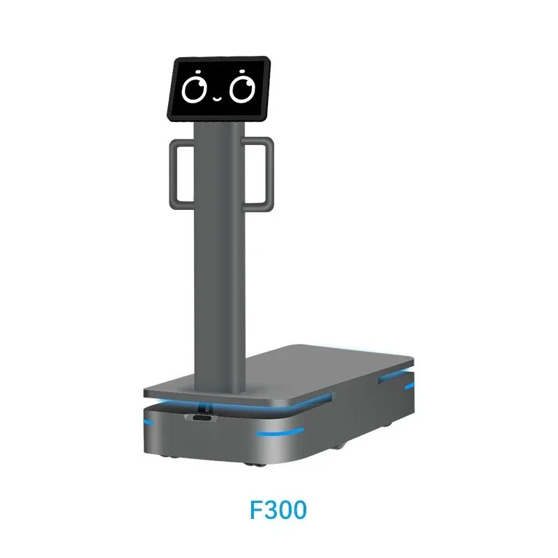 Handling, warehousing, logistics, shelf replenishment, small piece transportation robot view 2
