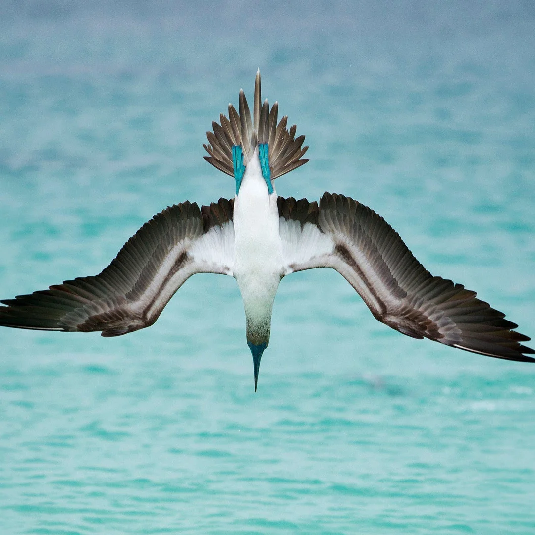 Lcd Digital Virtual… - image