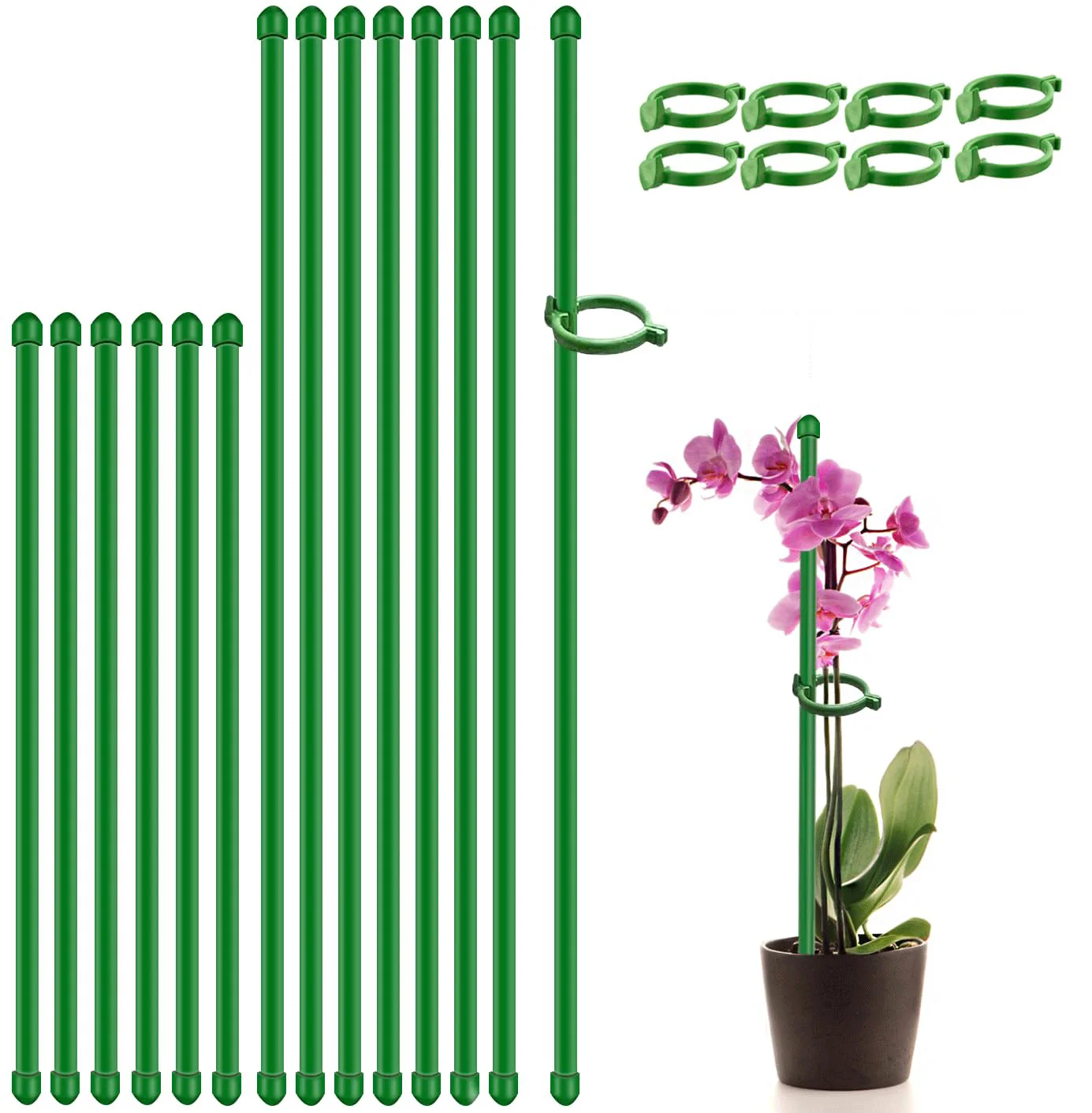 

Adjustable Plant Support Stakes Garden Stake Pole with Clips Plant Cage Support Rings with Clips for Potted Tomato Orchid Flower