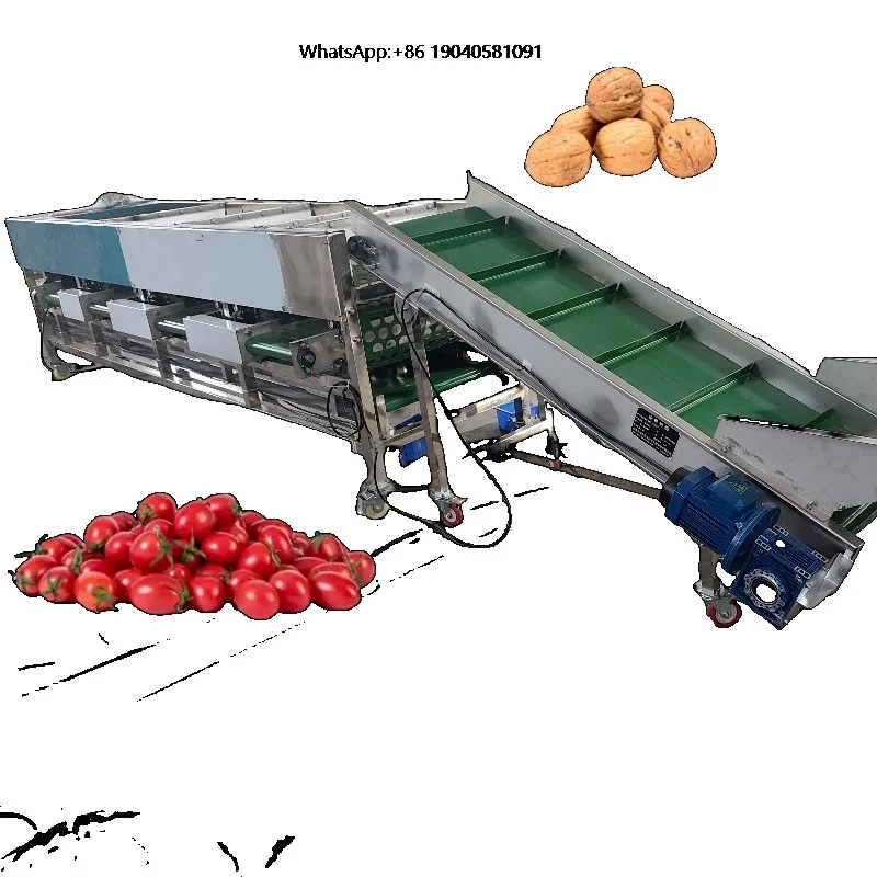 Onion Orange Blueberry Potato Avocado Date Fruit Tomato Sorter Grading Sorting Machine