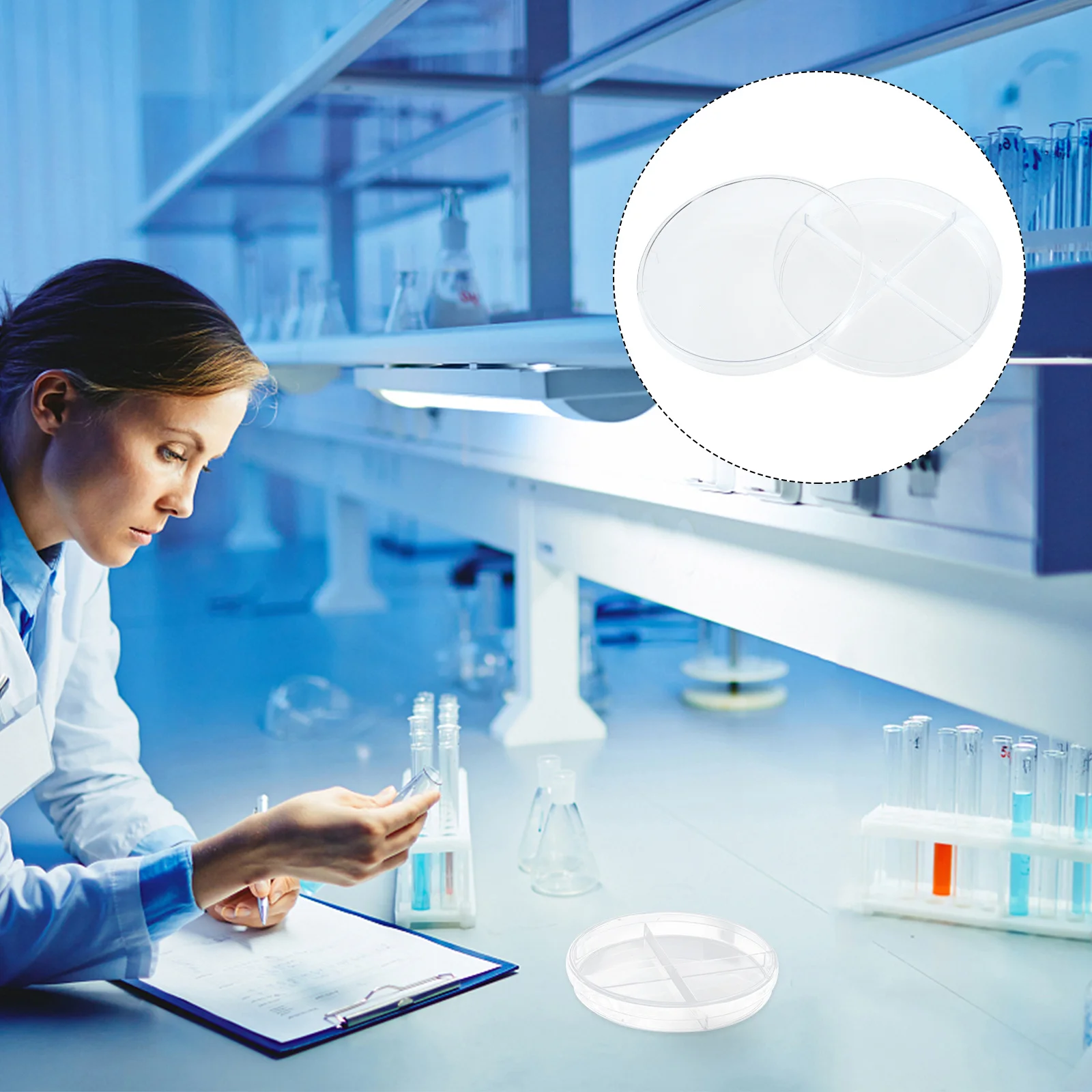 10Pcs Cell Culture Dish Transparent Plastic Four Compartments Scientific Experiment Tool for Biology Microbiology Research Lab