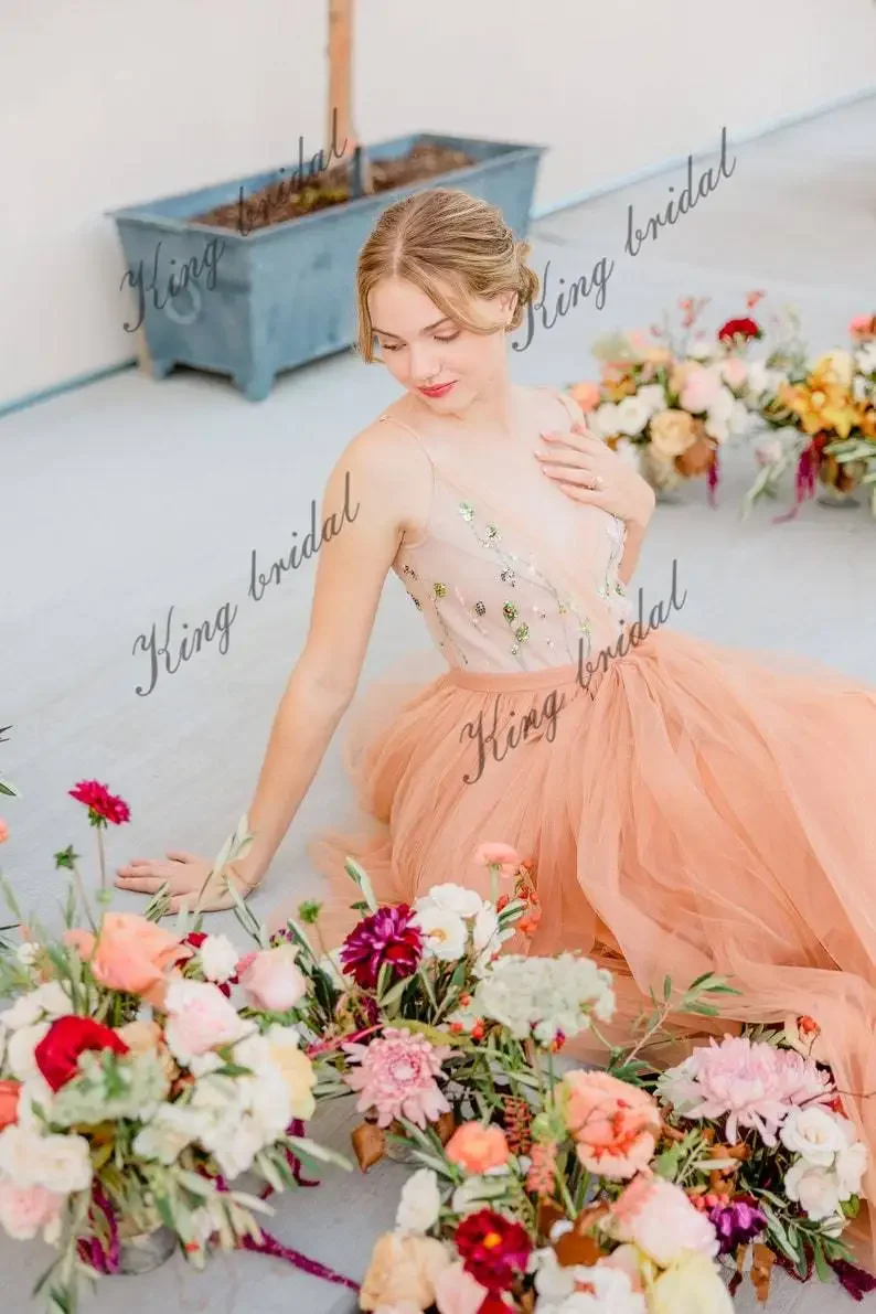 V-neck / Transparent Back Bridal Ballroom Dress Full A-line Wedding Dress Hand Embroidered Tulle Voluminous Wedding Gown