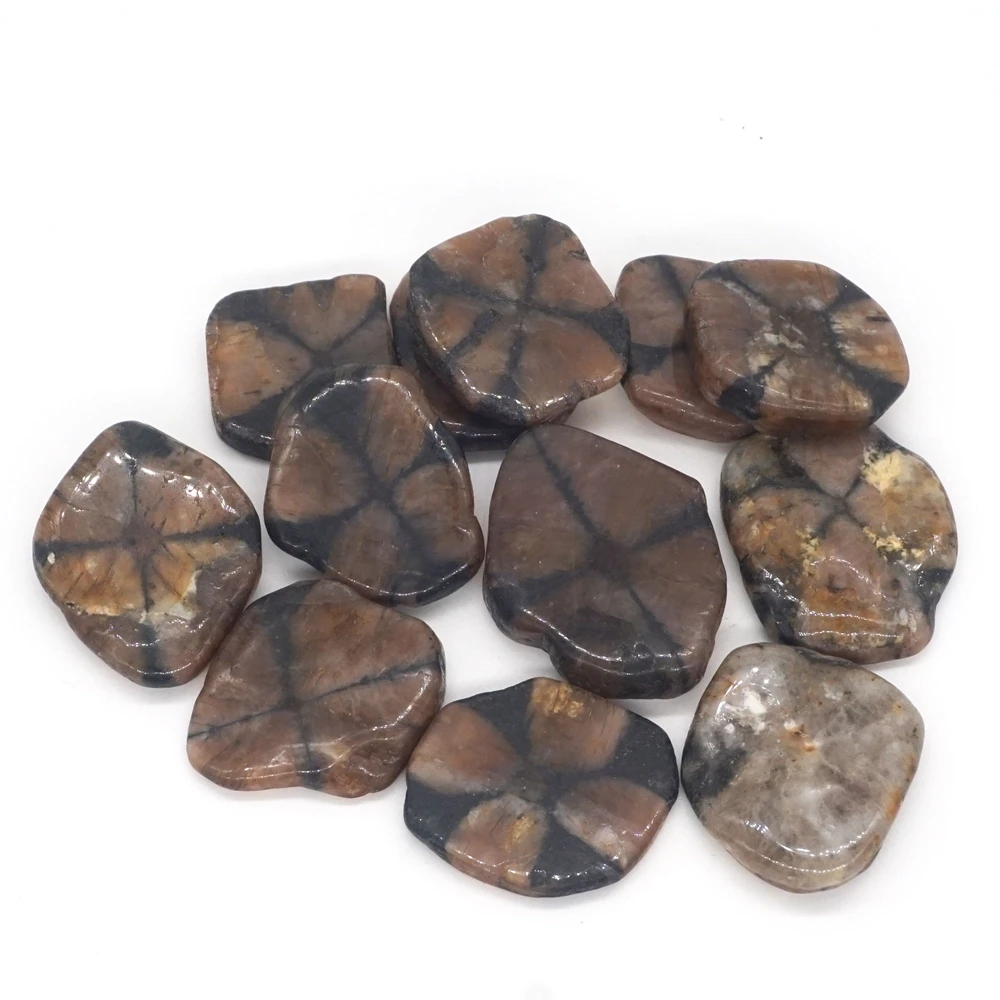 Tumbled Stones Natural Chiastolite Gemstone Crystal Healing Specimen Irregular Shape Quartz Mineral Craft Collection Home Decor