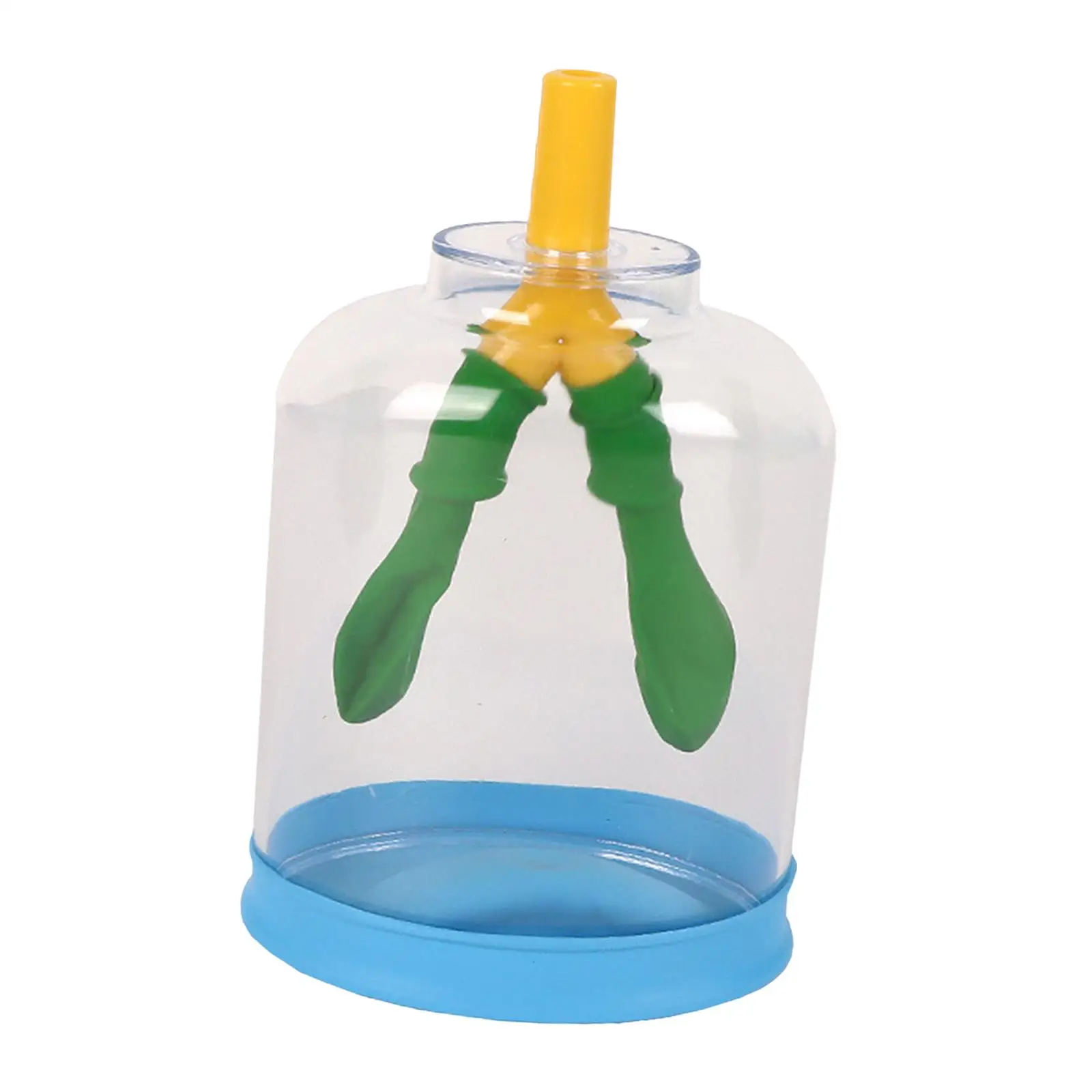 Lung Demonstration Model Educational Toy Lung Respiration Model Classroom