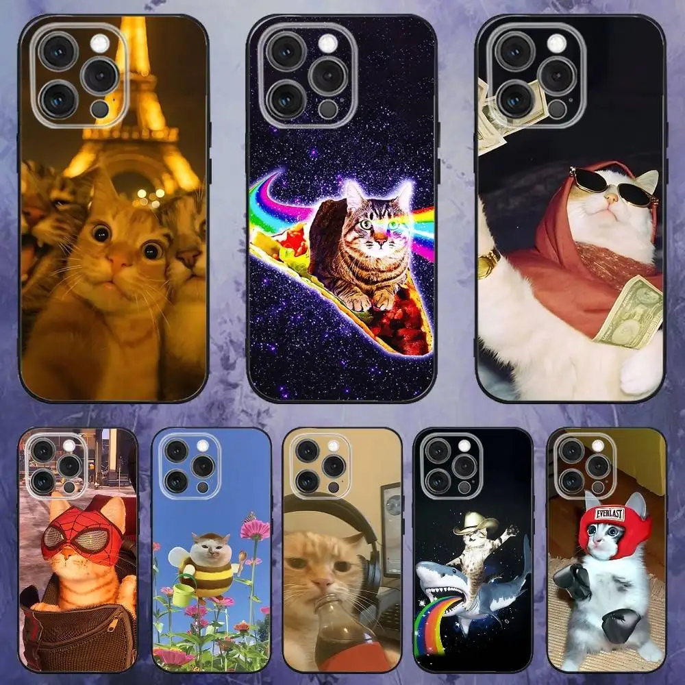 

Cute funny Cats Phone Case For iPhone 17,16,15,14,13,12,Pro,Max,Plus,E,SE4,Air,Mini Black Soft Box