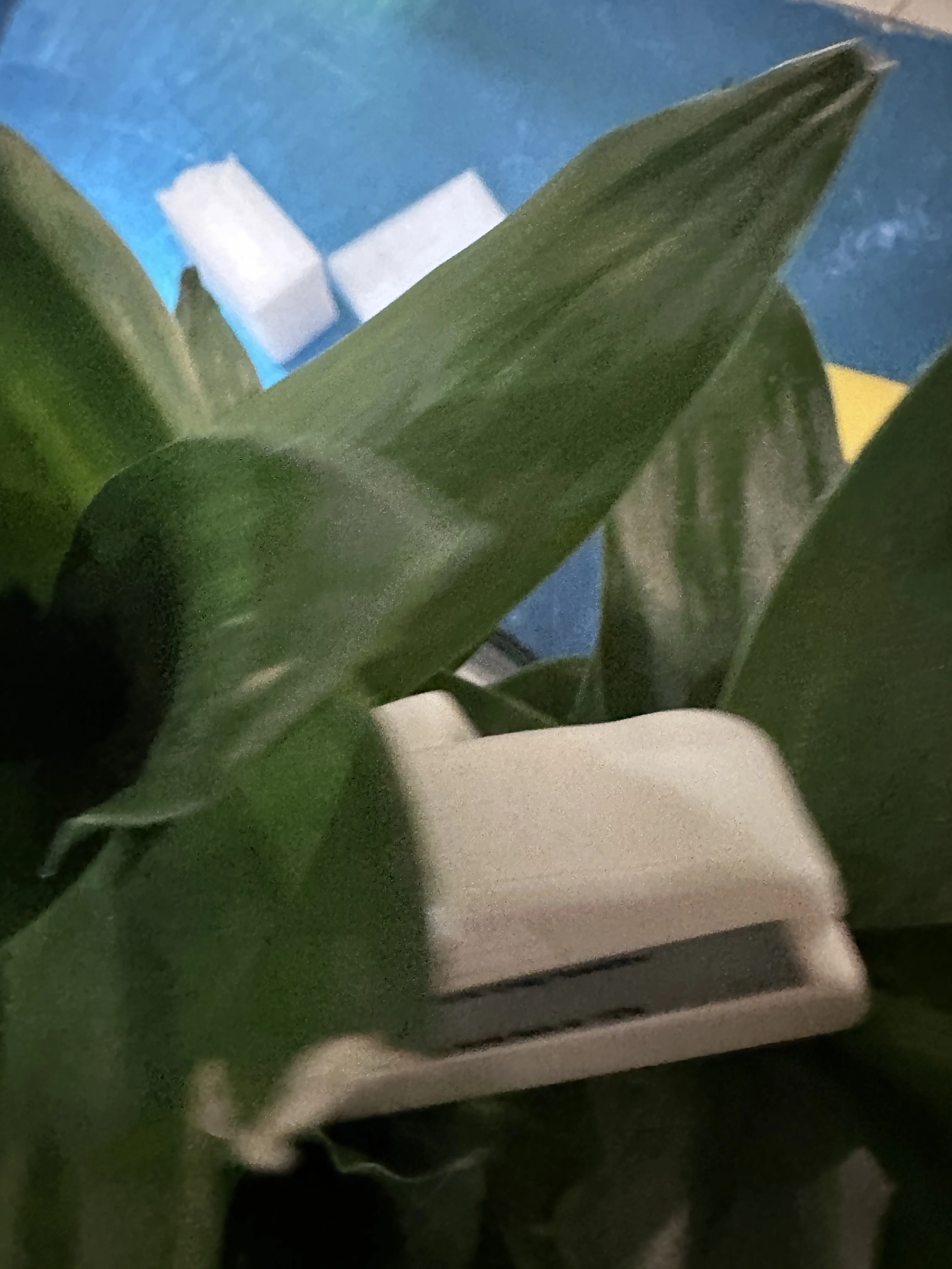 T5820 C13T5820 scatola di manutenzione serbatoio inchiostro chip resetter per Epson Surelab D700 per Fuji DX100 p800 P808 P807 collettore di inchiostro di scarto