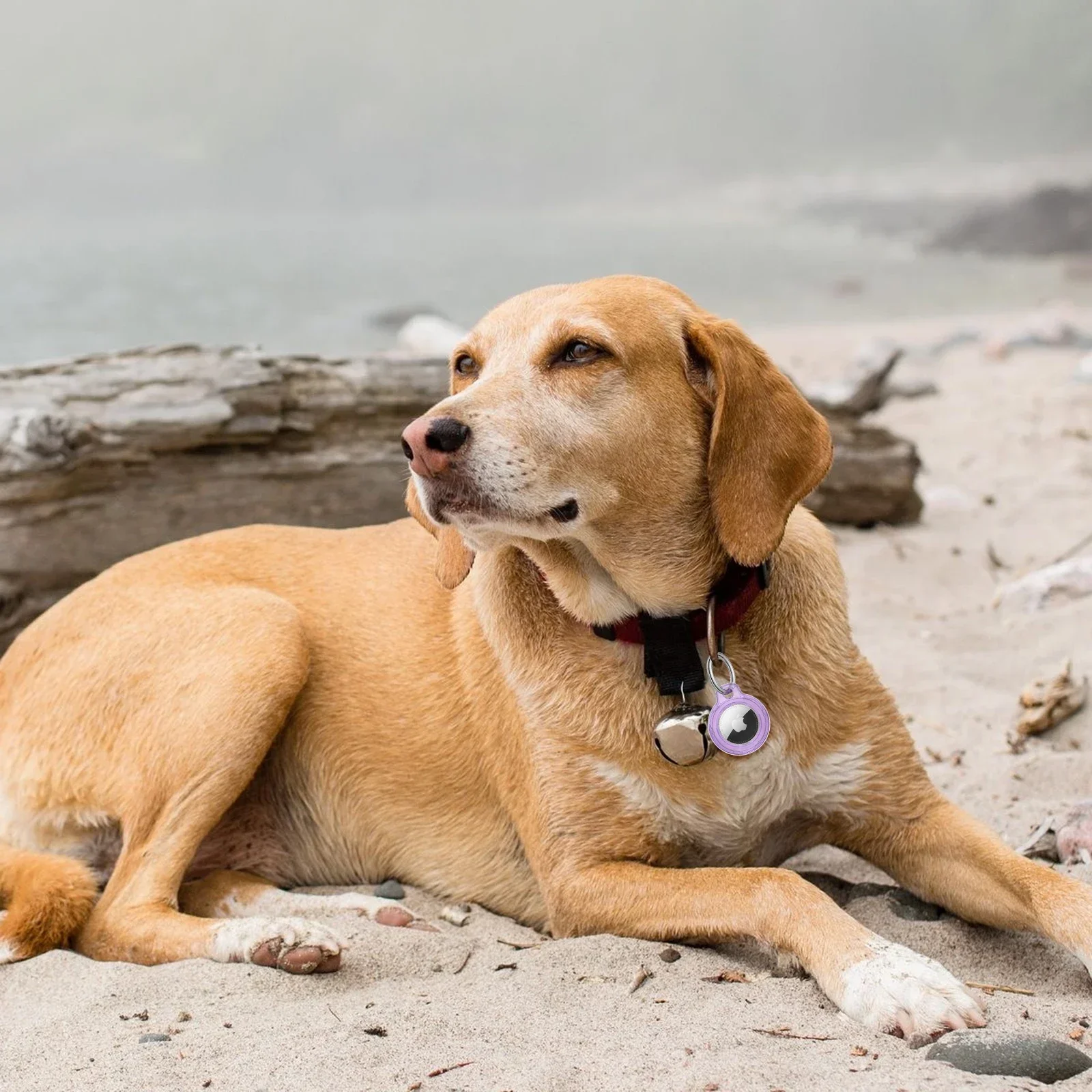 سلسلة مفاتيح صلبة من CoverJoy لجهاز AirTag حافظة واقية مضادة للصدمات ومضادة للسقوط لمفاتيح حقائب الظهر وأجهزة تعقب الأمتعة، #6