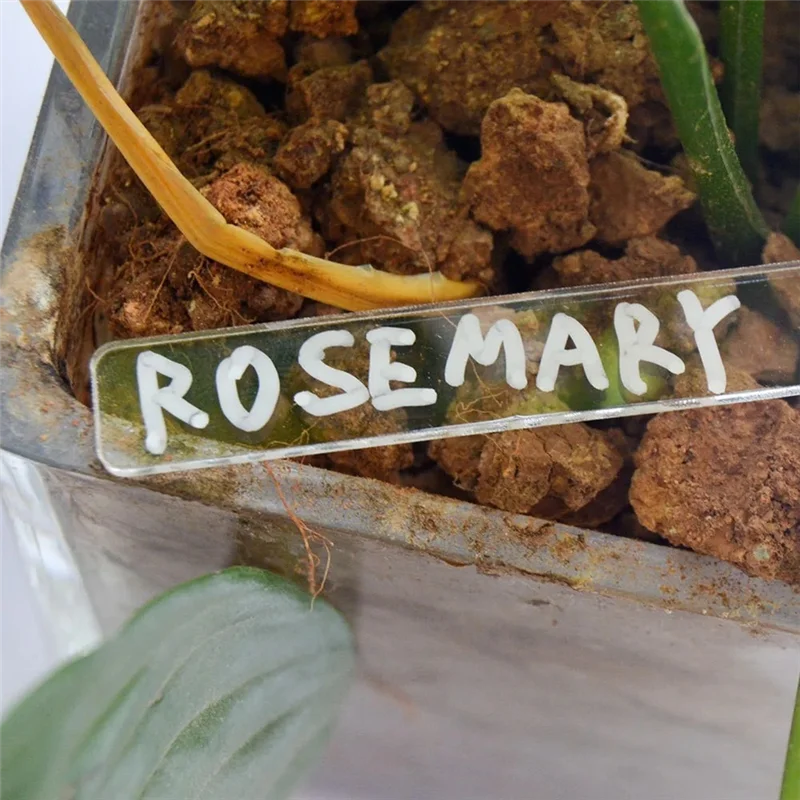 A95G 100PCS Acrylic Outdoor Label Markers Garden Labels Identification Label DIY Plant Gardening Weatherproof Vegetable Stake