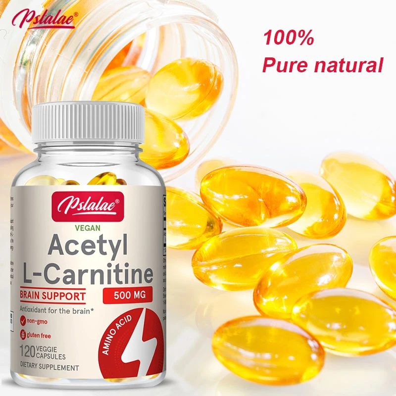 Acetyl-L-Carnitine Capsules - Supports Memory Focus Increase Body Performance Metabolic Energy