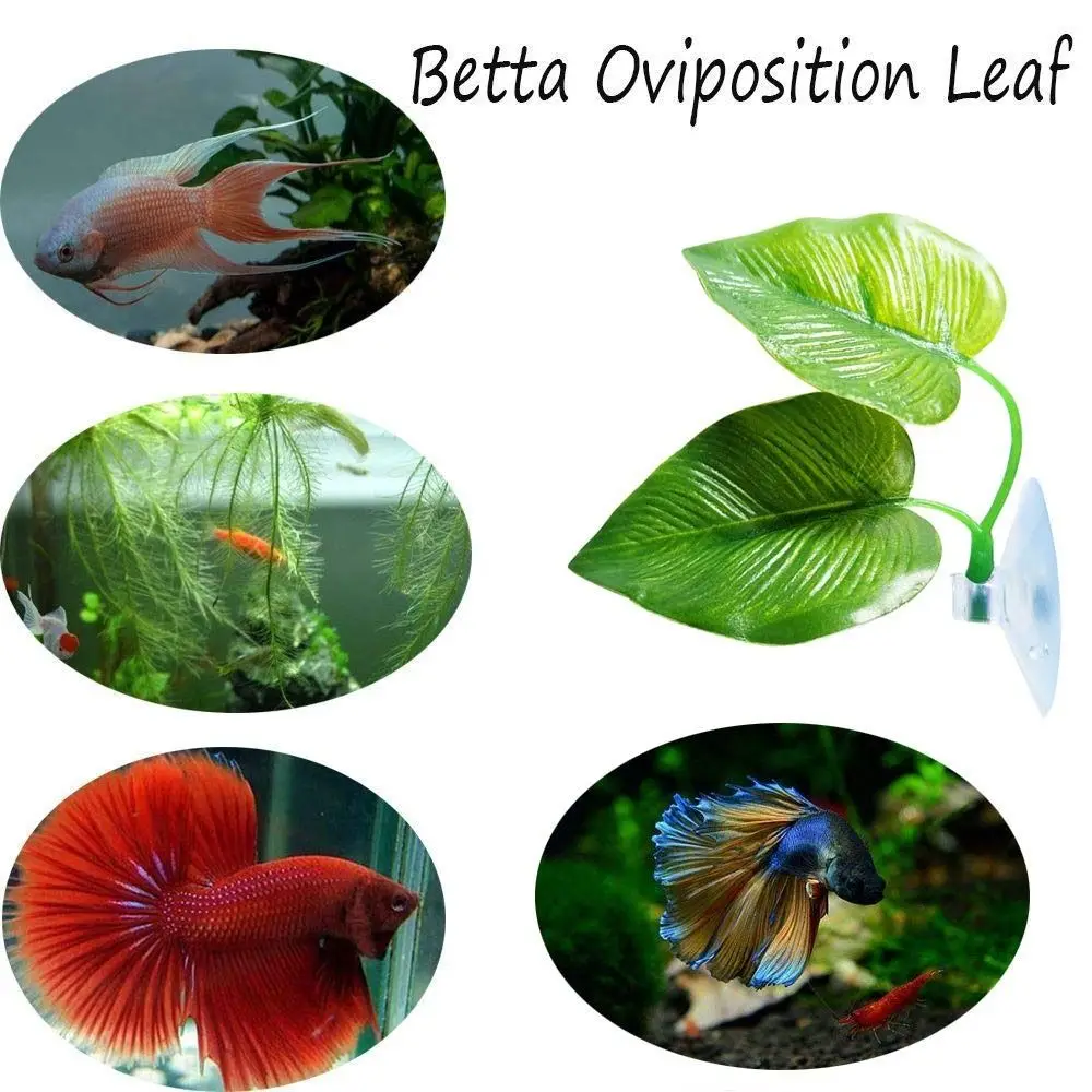 Effortless Clean Plastic Betta Fish Leaf Pad Simulated Lotus Leaves Suction Cup Fish Hiding Habitat Reptile Basking Area Frog view 3