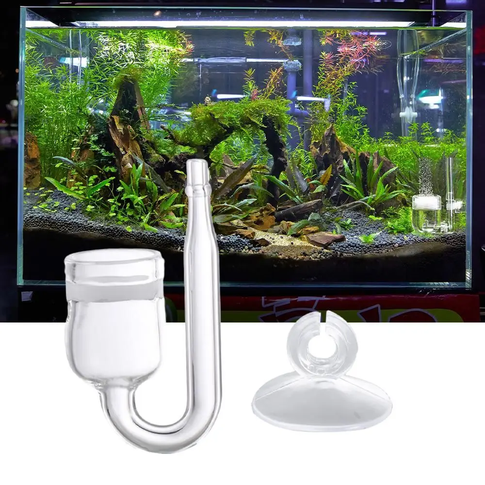 Disces Glass Cup Fish Tanks Atomizers Refiner Aquarium CO2 Diffusers Carbon Dioxide Reactor Aquarium Accessories Bubble Counter