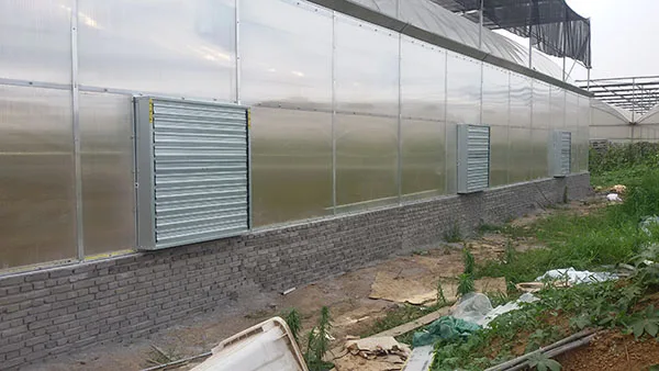 Extractor de aire eléctrico con Control de temperatura, 380V, 600MM, 275g, marco SS430, hoja, rodamiento de bolas, gallinero, OEM