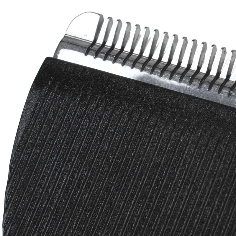 B84B-8X CP8000 Dog … - image