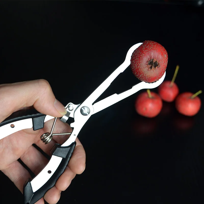 

Stainless Steel Core Remover Sugar Coated Haws Tool Hawthorn Core Remover Fruit Scissors Fruit Clip Kitchen Tools