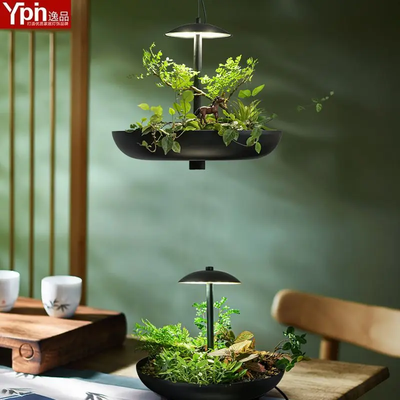 Creative restaurant plant chandelier Nordic succulent plant combination potted shop decorative lights personality seascape lamps