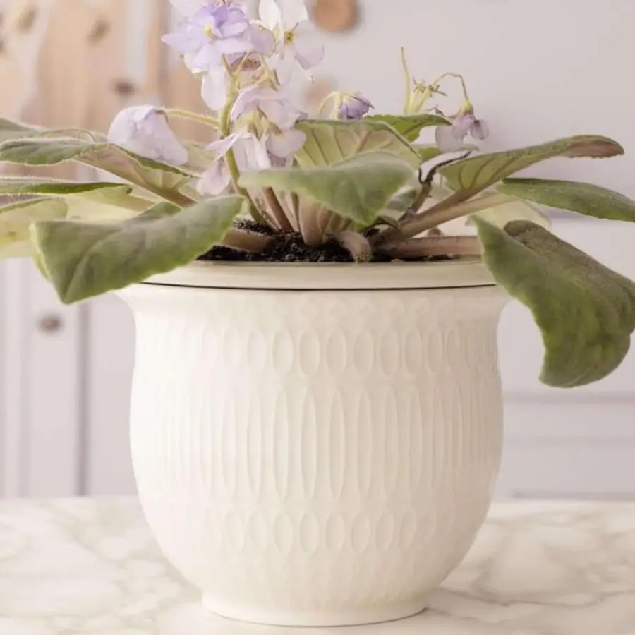 

Самополивающиеся горшки Violet Pots, 7 дюймов, белые, из керамики и доломитовой глины, простые и удобные в использовании, для комнатных растений, трав, цветов.