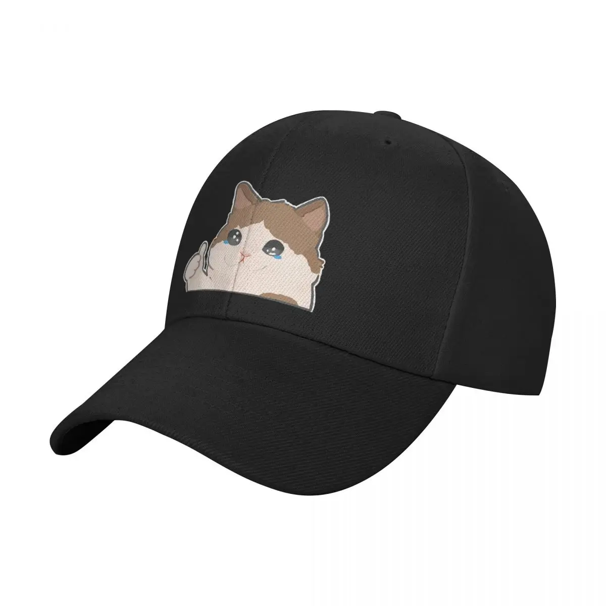 crying cat meme Baseball Cap Custom Cap Hat Beach For Girls Men's