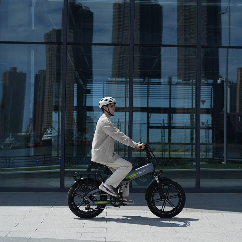 Best Quality Electric Bike Adult Electric Bike Electric Folding Bicycle 20 Inch 48V750W High Power Assist Bicycle