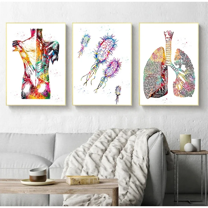 Medical Education Office Picture Posters Canvas Painting Human Anatomy Muscle System Art Print Figure