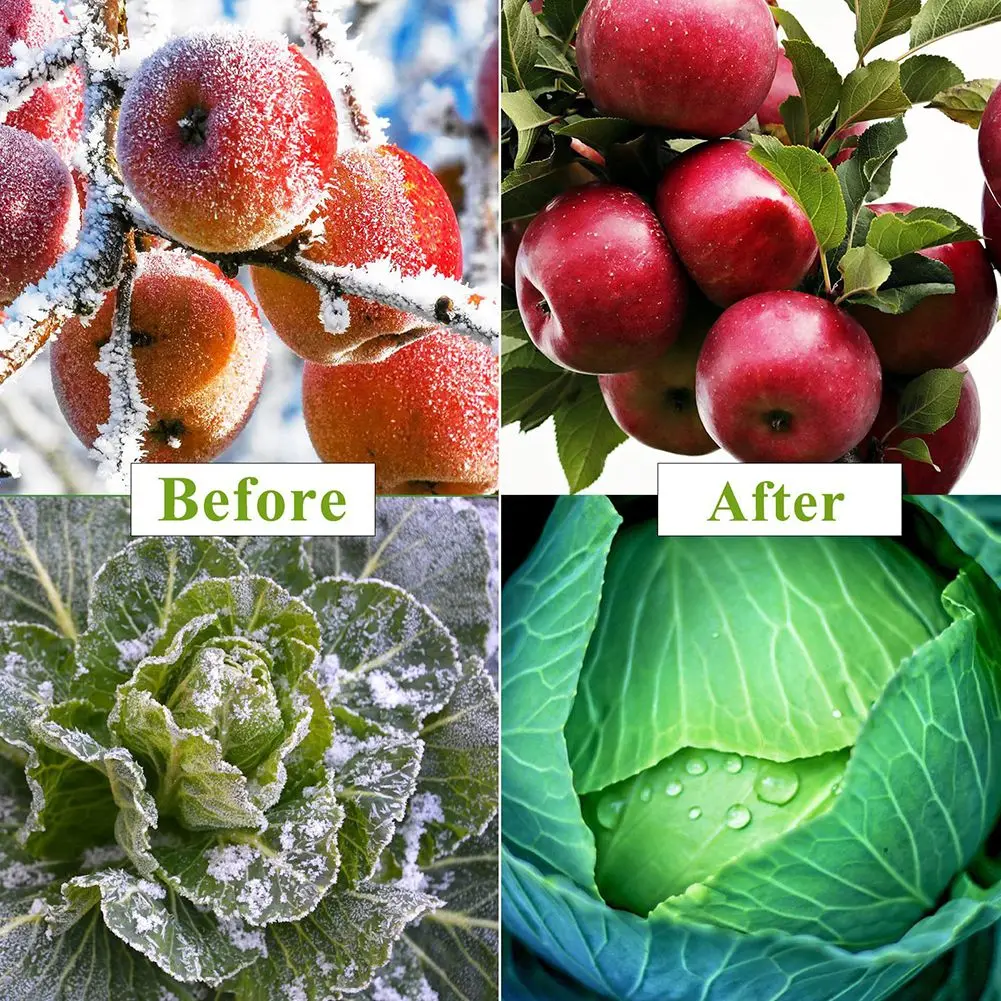 

Plant Mulch Anti-freezing Kit DIY Garden Hoops Kit Versatile Plant Protector For Raised Beds Tunnels Frost Protect Accessories