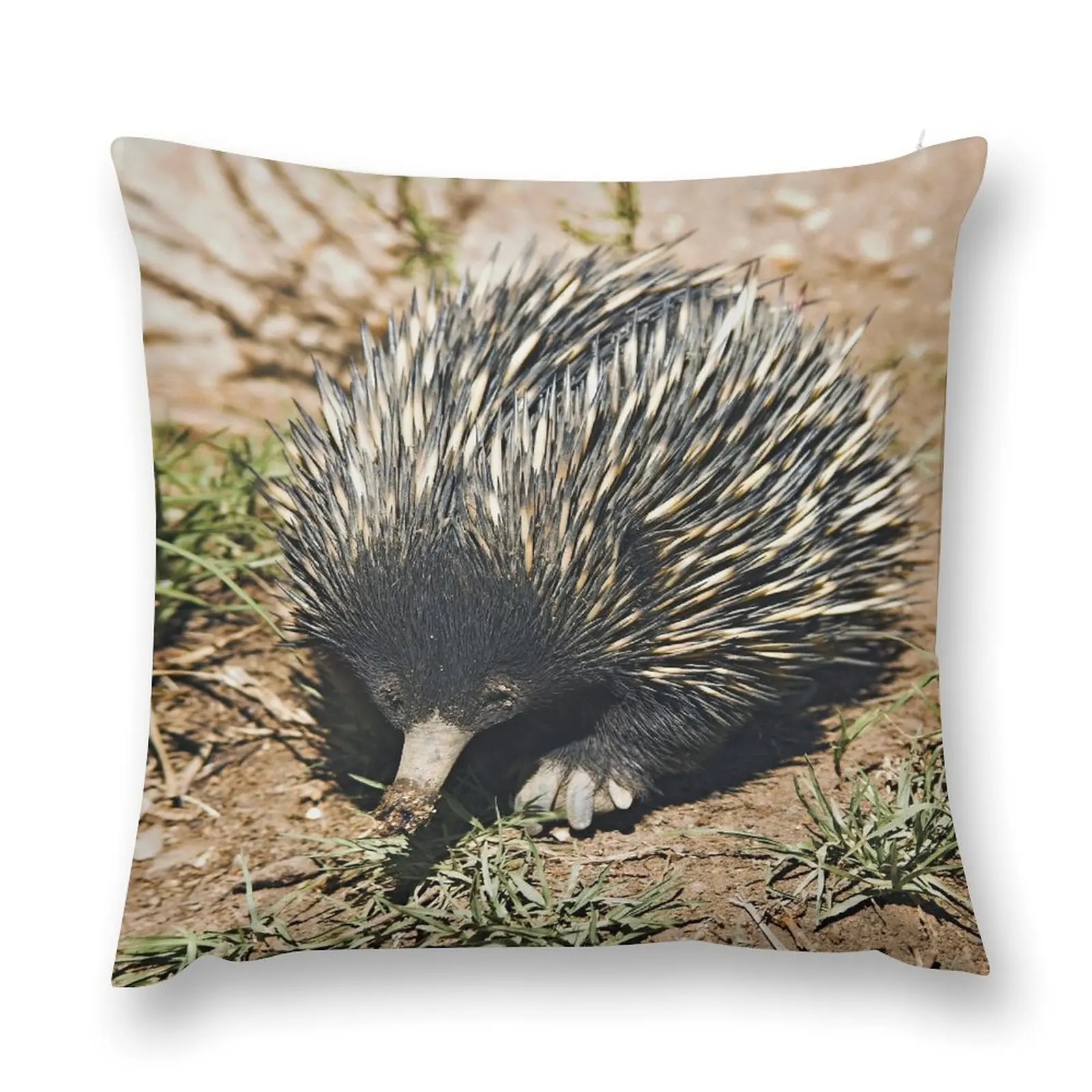 Australian Echidna 3 Throw Pillow pillow cover luxury Pillows Aesthetic bed pillows ornamental pillows pillow