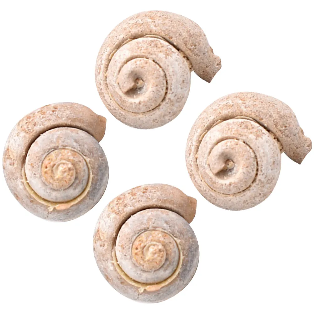 4Pcs Fossil Snail Paleontology Specimens Educational Teaching Tools Simulation Models Home Decor Study Props Sample