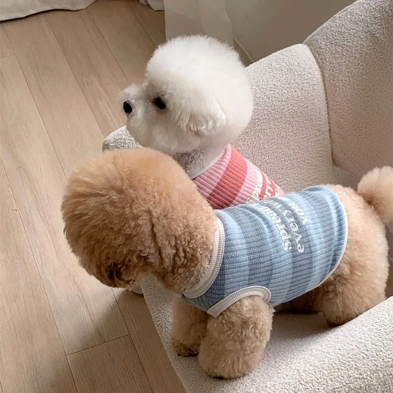 Puppy Camisole Vest Summer Thin Teddy Pullover Pomeranian Letter Print T-shirt Maltese Rainbow Color Bottoming Shirt