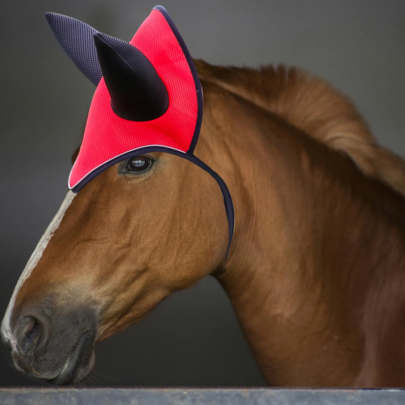 تنفس الأذن بونيه الحصان قناع الخيول يطير حماية في الهواء الطلق الحصان والعتاد لوازم شبكة غطاء الأذن بونيه #4