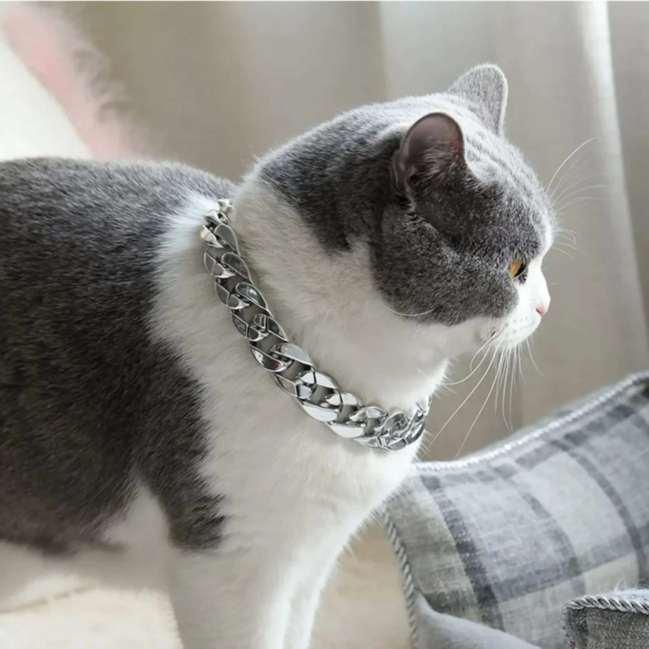 Plastic Dog Cat Neck Chain Fashion Cuban Link Dog Collar Cat Chain Collar Cool Sliver Gold Necklace for Kitten Puppy Accessories