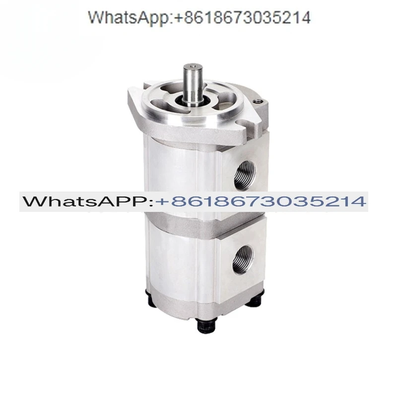 Double Gear Pump HGP-33A-F6-6R Thread High-strength Flange Mounted Gear Oil Pump High Pressure Gear Pump Factory Direct Supply