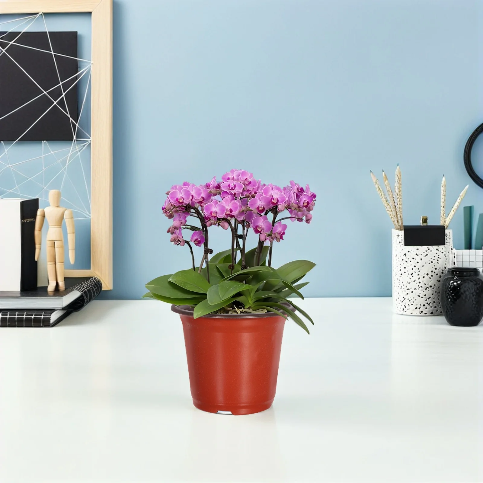 

50pcs Plastic Flower Pot 90X70X80Mm Premium Minimalist Design For Succulents Cacti Plants Decorative Storage Basin Garden Tool