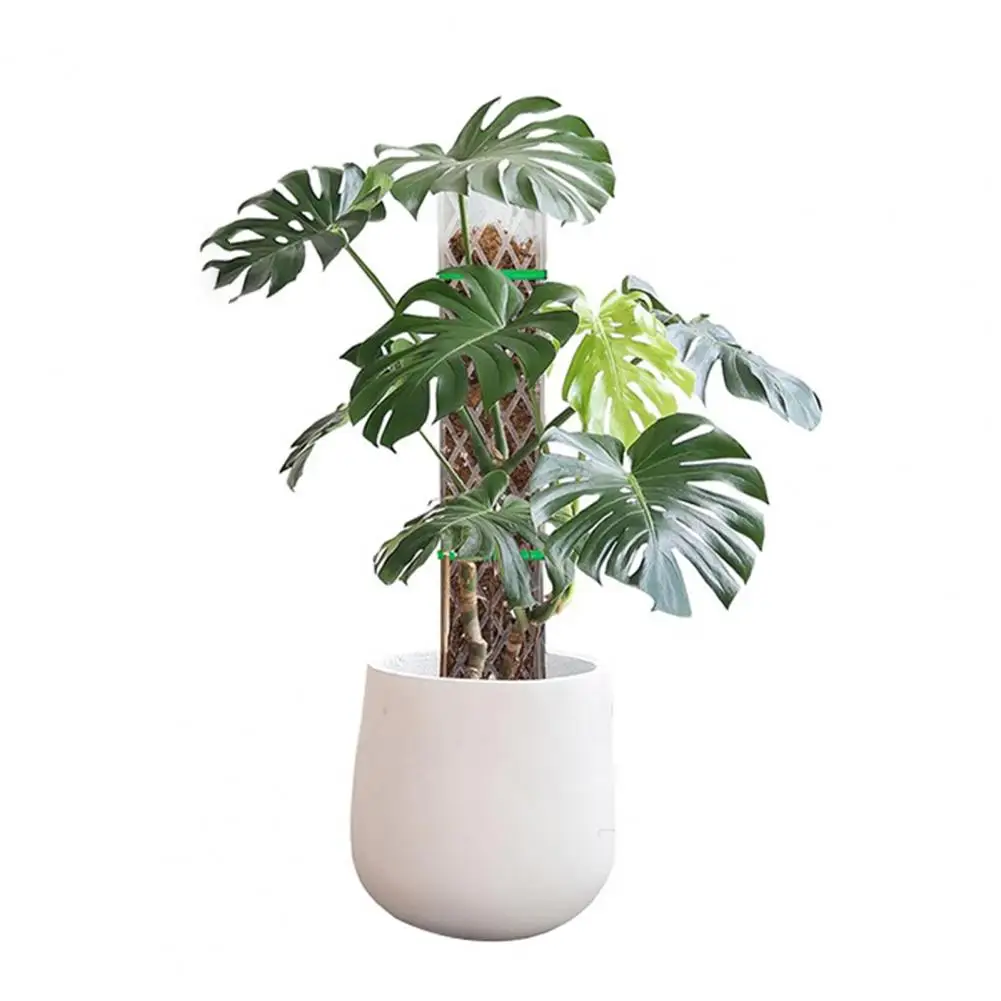 

16 Inch Moisture Retaining Moss Pole Plastic D-Shaped Climbing Plant Support Pole Works for Indoor Plant Growth