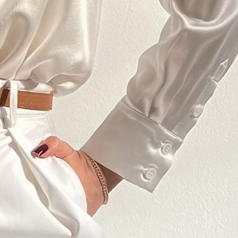 Birdtree, OEKO-TEX, 22MM 100% chemisier en soie véritable, simple boutonnage, chemise décontractée à manches longues et revers solide pour femmes, nouveaux hauts 2026 T61107JF