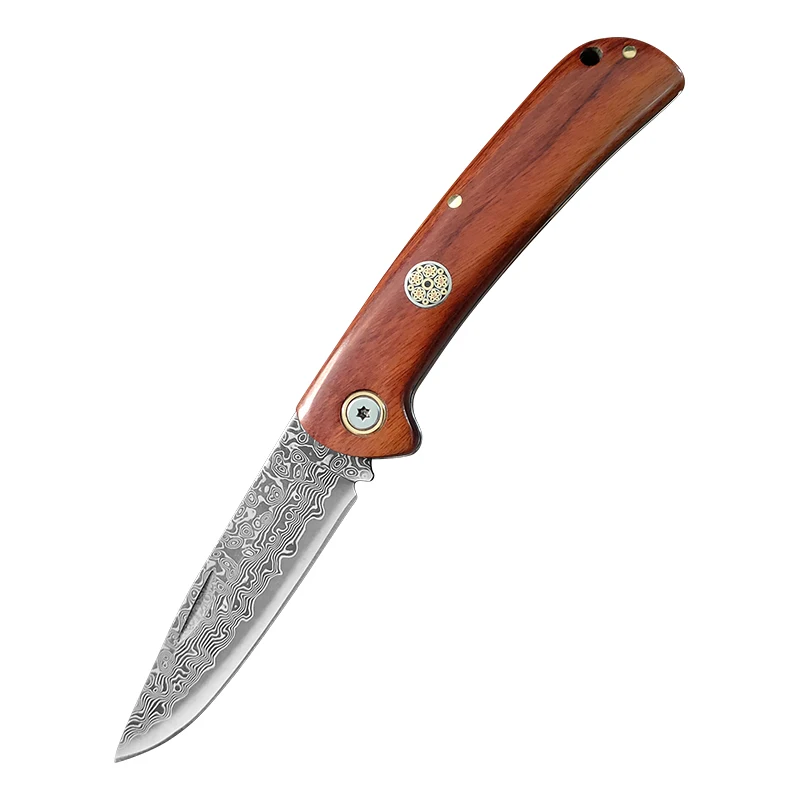 Klappbares Damaszener Stahlmesser Metzger-Ausbeinmesser für Rindfleisch, Obst, Fisch, Langlebiges Küchenmesser für Köche zum Kochen