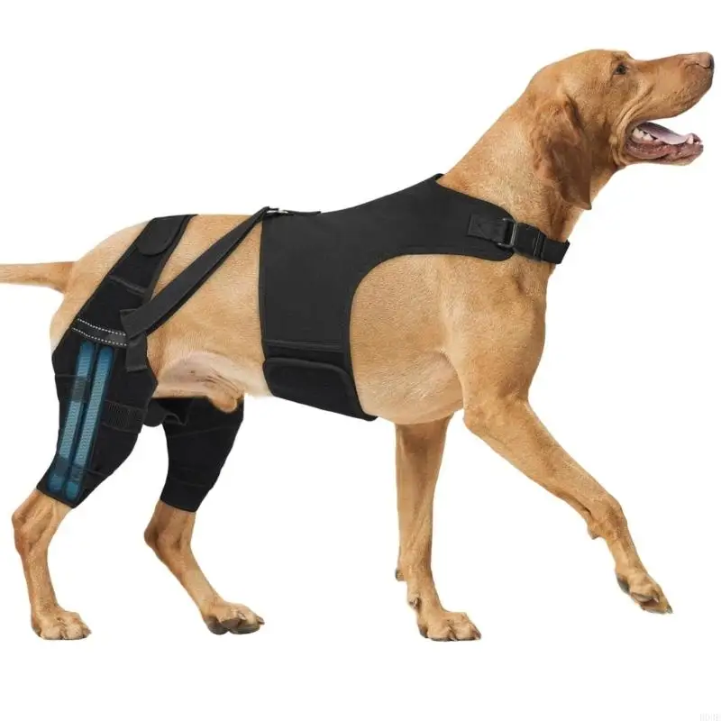 Hunde-Hinterbeinstütze für Tränen- und Hüftdysplasie mit verstellbarem Riemen und Stabilisatoren, Beinstütze B03E – Detail 2