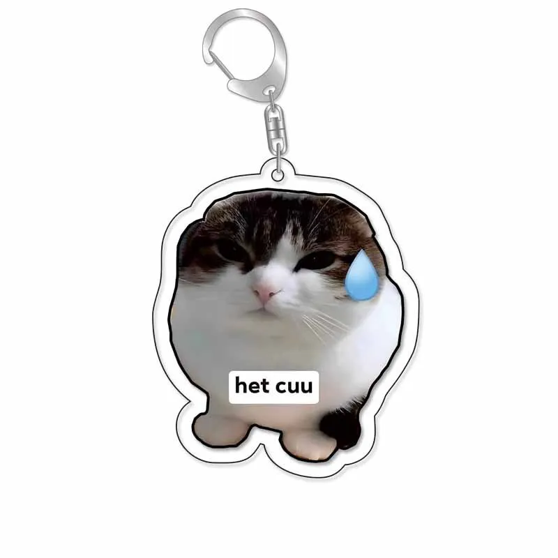 Porte-clés pour animaux de compagnie, pendentif d'expression, grenouille, chien, créativité, chaton, photos, souvenirs, paquet en acrylique, accessoires de décoration, sac, cadeau d'anniversaire