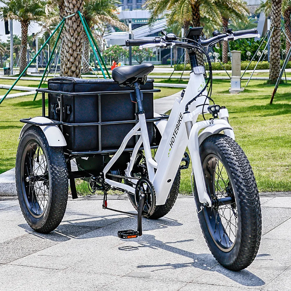 

20 Inch Electric Trike Fat Tire 3 Wheel Electric Tricycle Three Wheels Adult Cargo Electric Bike With Basket