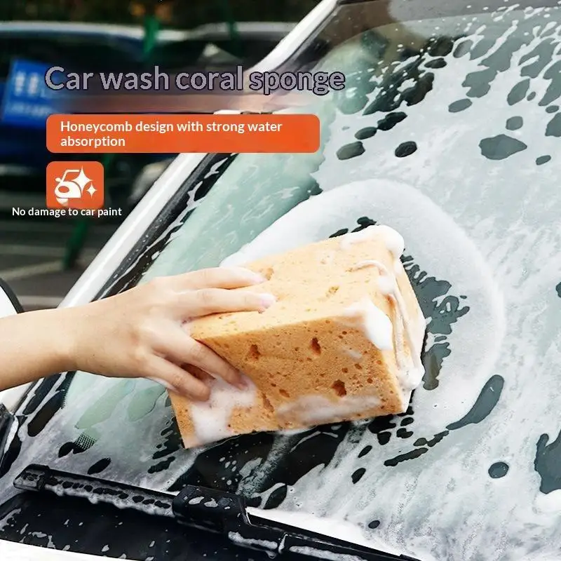 Coral Design Car Wash Sponge Large Honeycomb Structure High Water Absorption No Scratch for Vehicle Daily Care