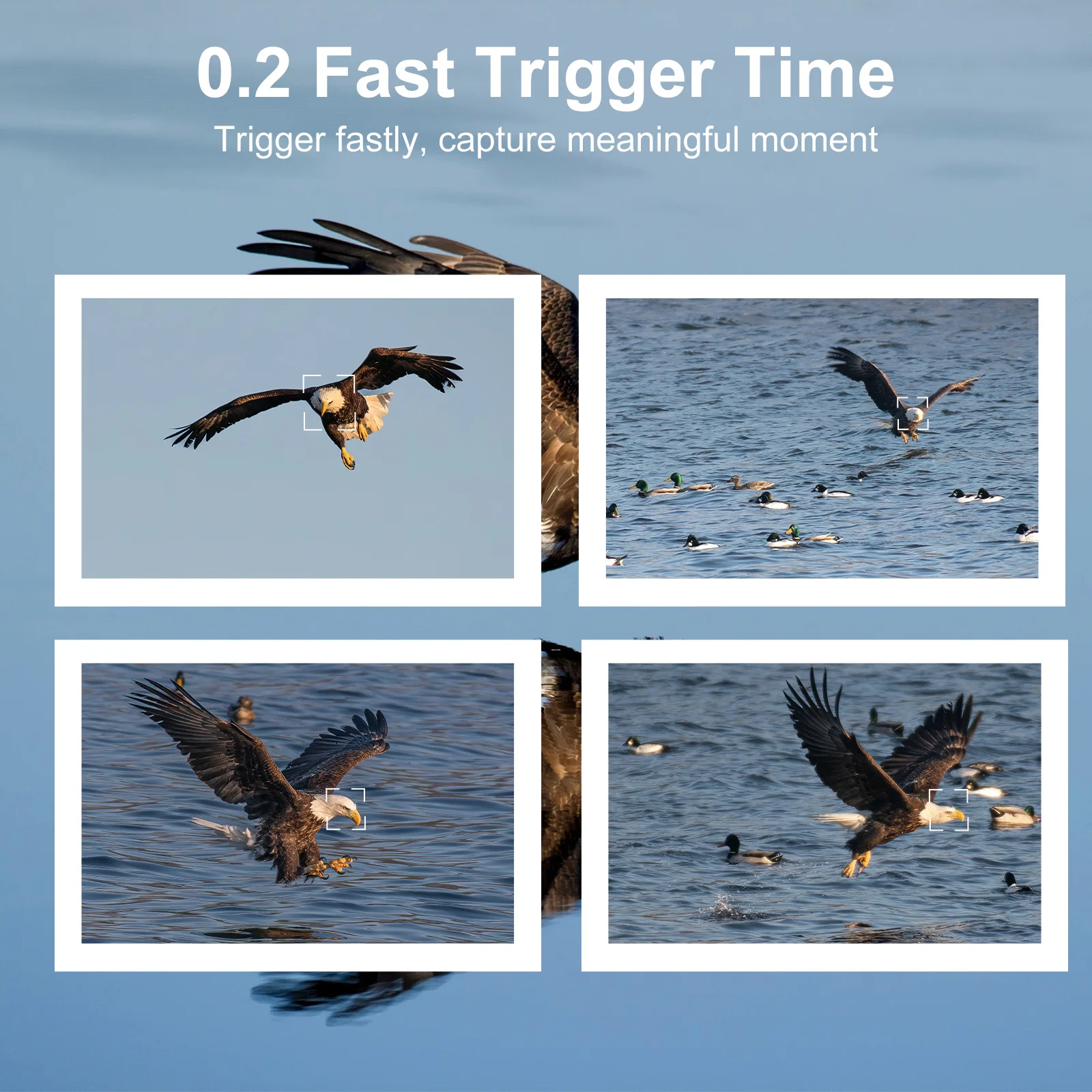 

2026unique Newest HD 4K 48MP Trail Hunting Camera 2.0 Inch TFT Screen 0.5S Trigger Time IP66 Waterproof Wildlife Camera with Nig